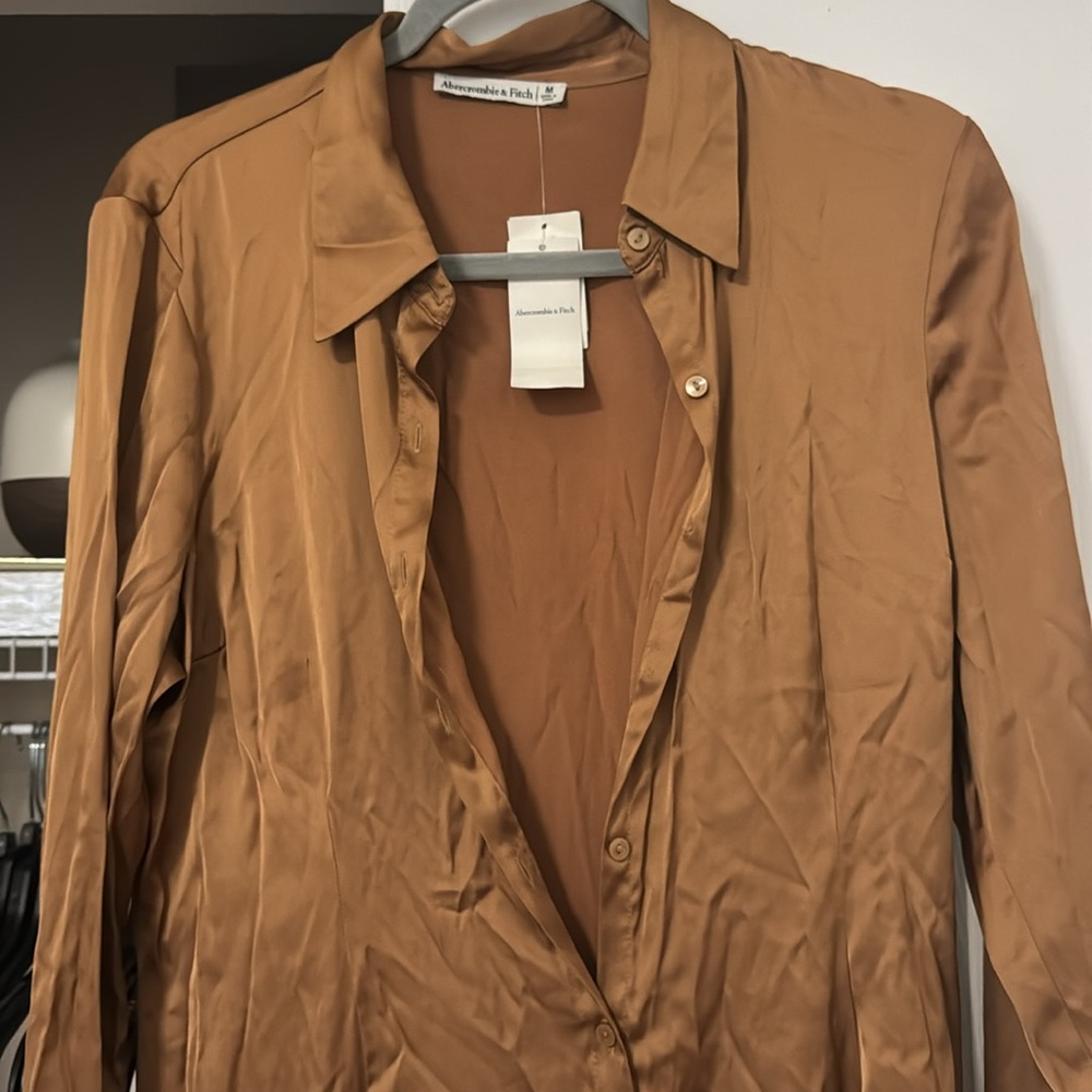 Abercrombie Brown Satin Button-Up Shirt Dress